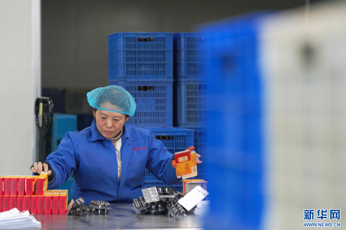 1月2日，内丘县工业园区一家制药企业的工人在车间包装药品。新华网发 刘继东 摄