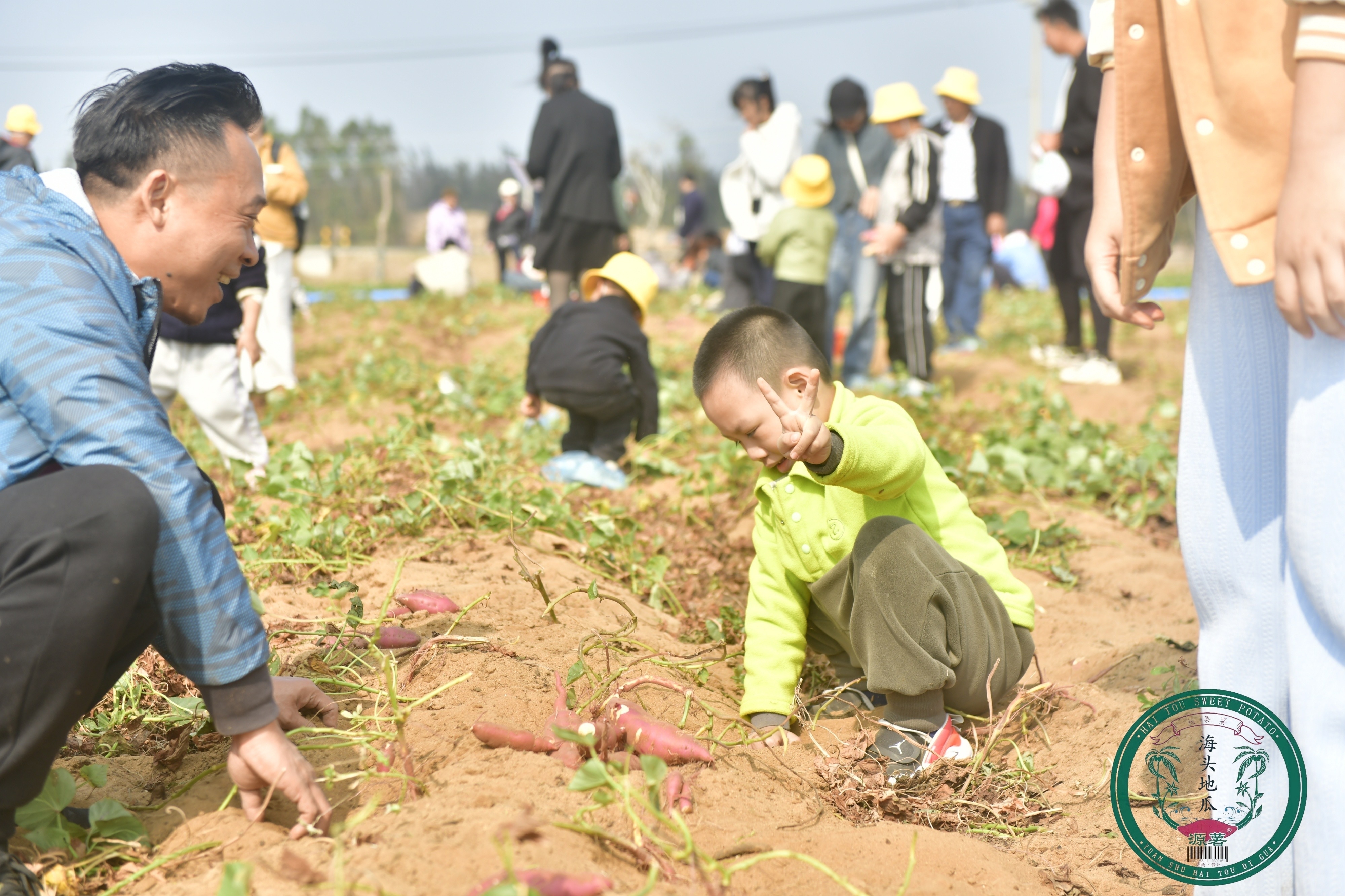 “薯”界智汇 共话自贸—2025年海南省地瓜产业现场会活动仪式感拉满