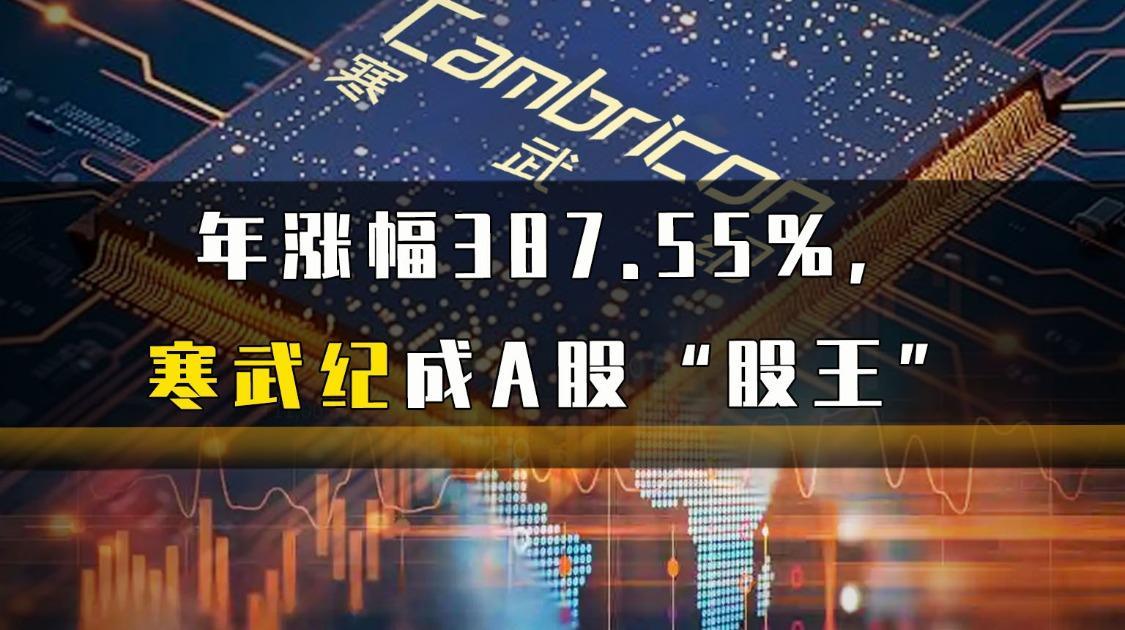 年涨幅387.55%，寒武纪成A股“股王”