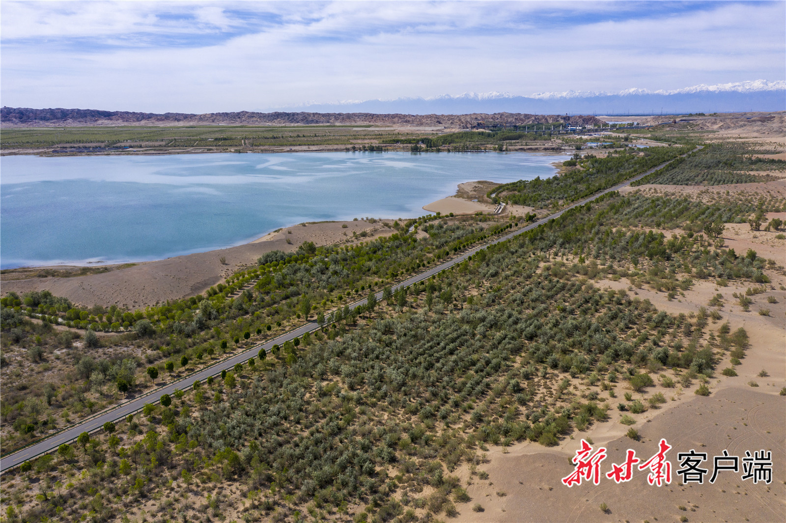 渐成“绿带锁黄龙”的壮观景象（除署名外，图片均由金塔县森林资源工作站工程师李永华拍摄）