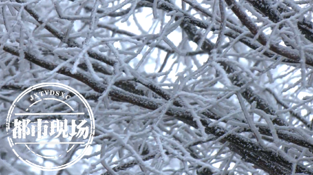 -5℃!今晚大降温!江西多地要下雪