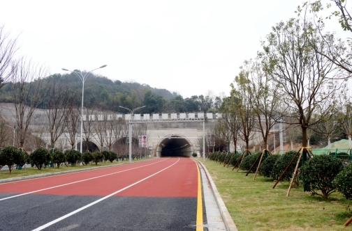 河西这条路建成通车!