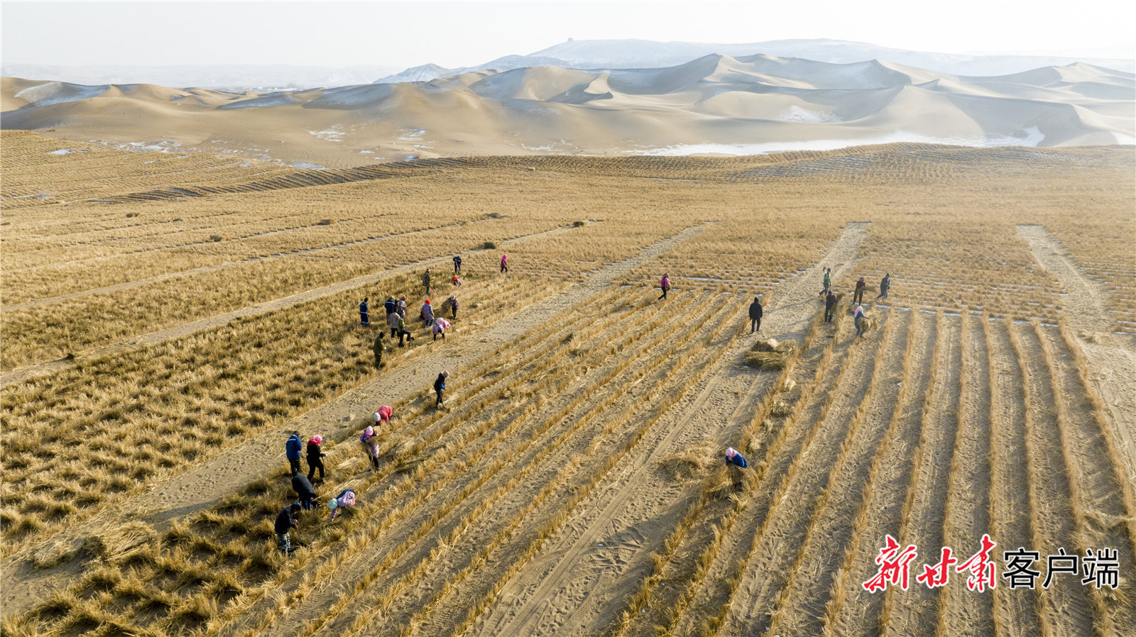 代代接力，草进沙退。