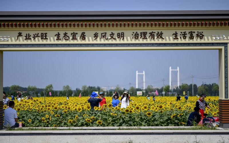 槐荫区加快建设8个城市更新项目 老旧小区改造惠及3.2万户居民