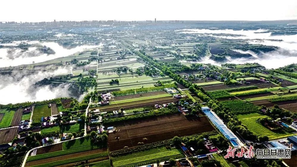 图/新甘肃客户端