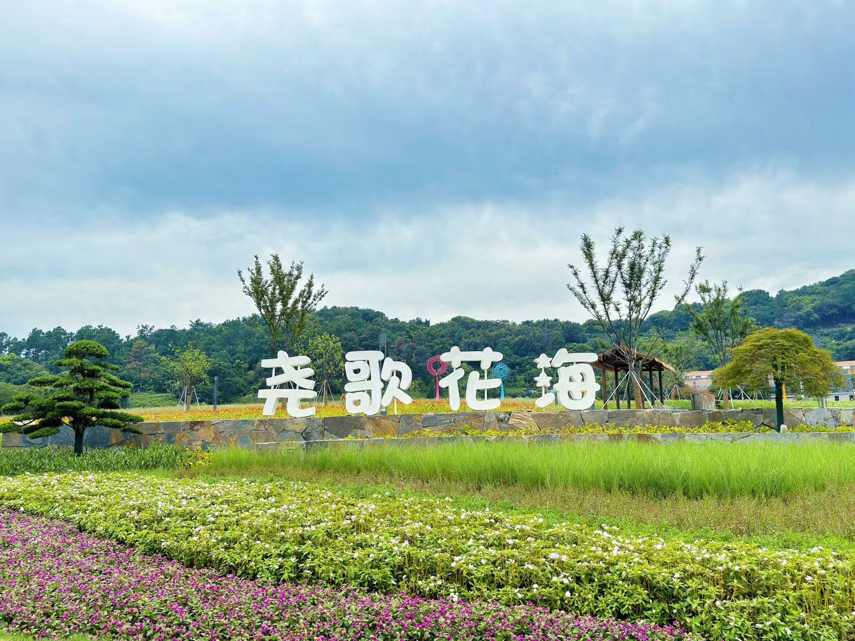 “鑫”滨湖：城乡同美，打造湖湾“富村山居图”
