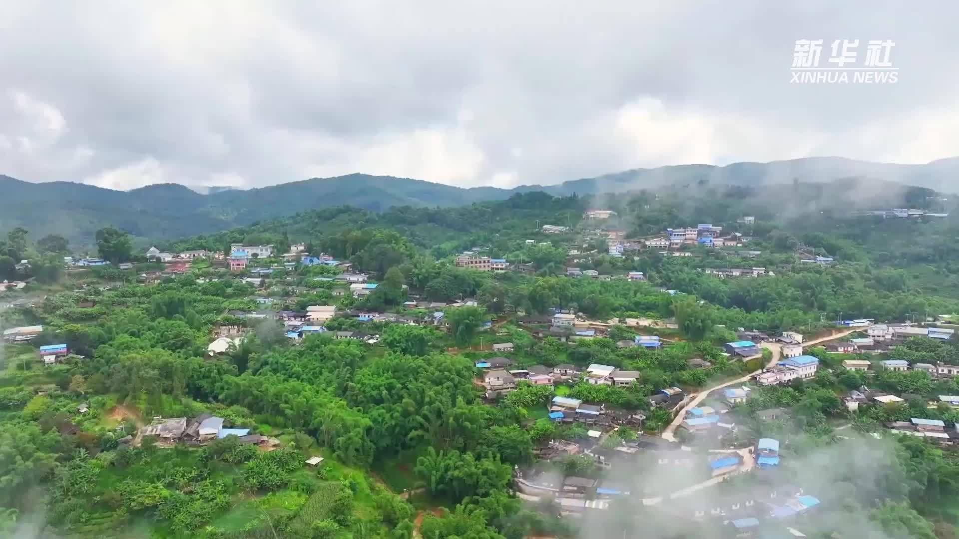 小寒节气 当甘蔗邂逅腊肉