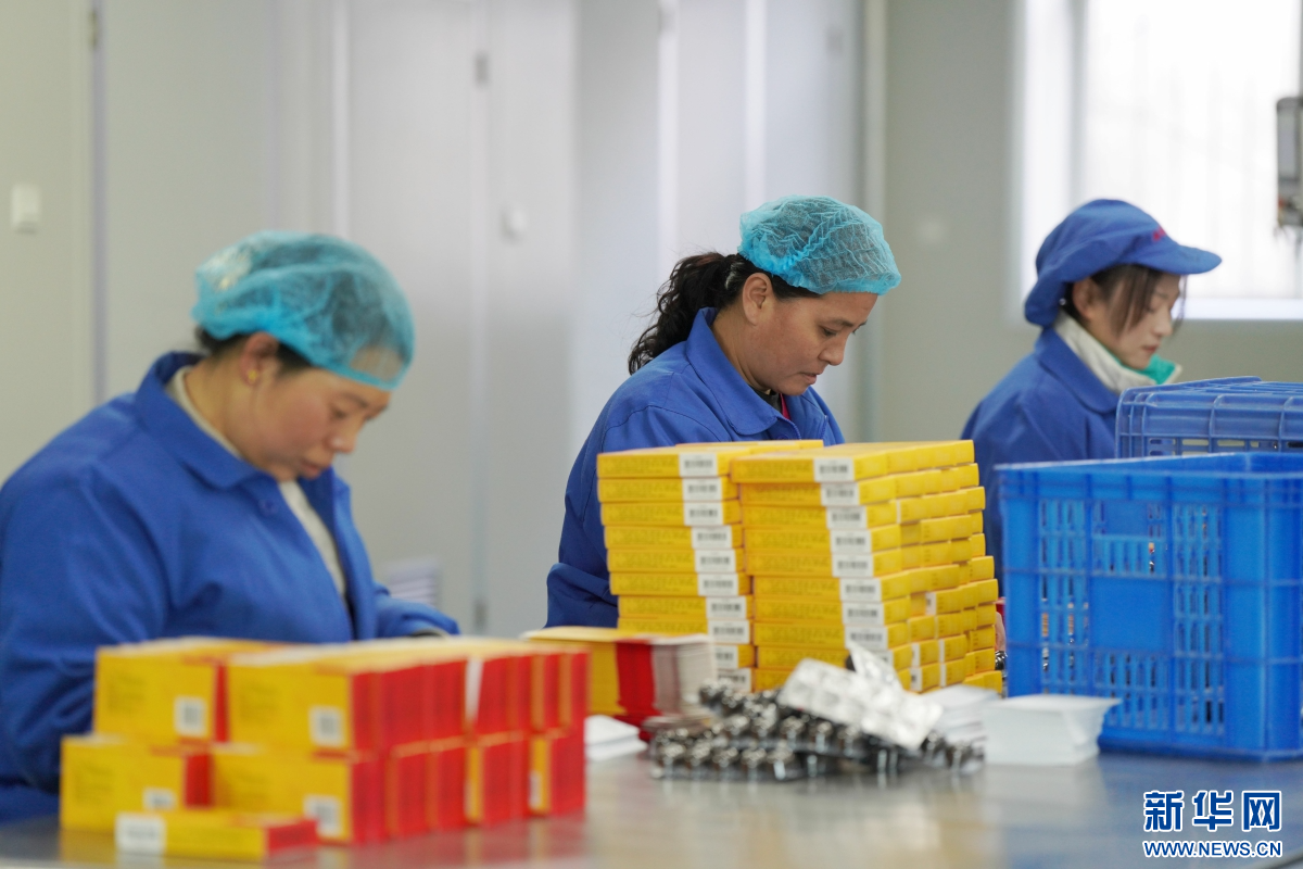 1月2日，内丘县工业园区一家制药企业的工人在车间包装药品。新华网发 刘继东 摄