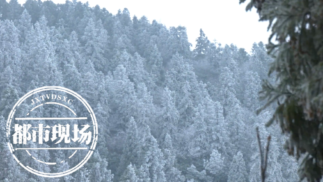 -5℃!今晚大降温!江西多地要下雪