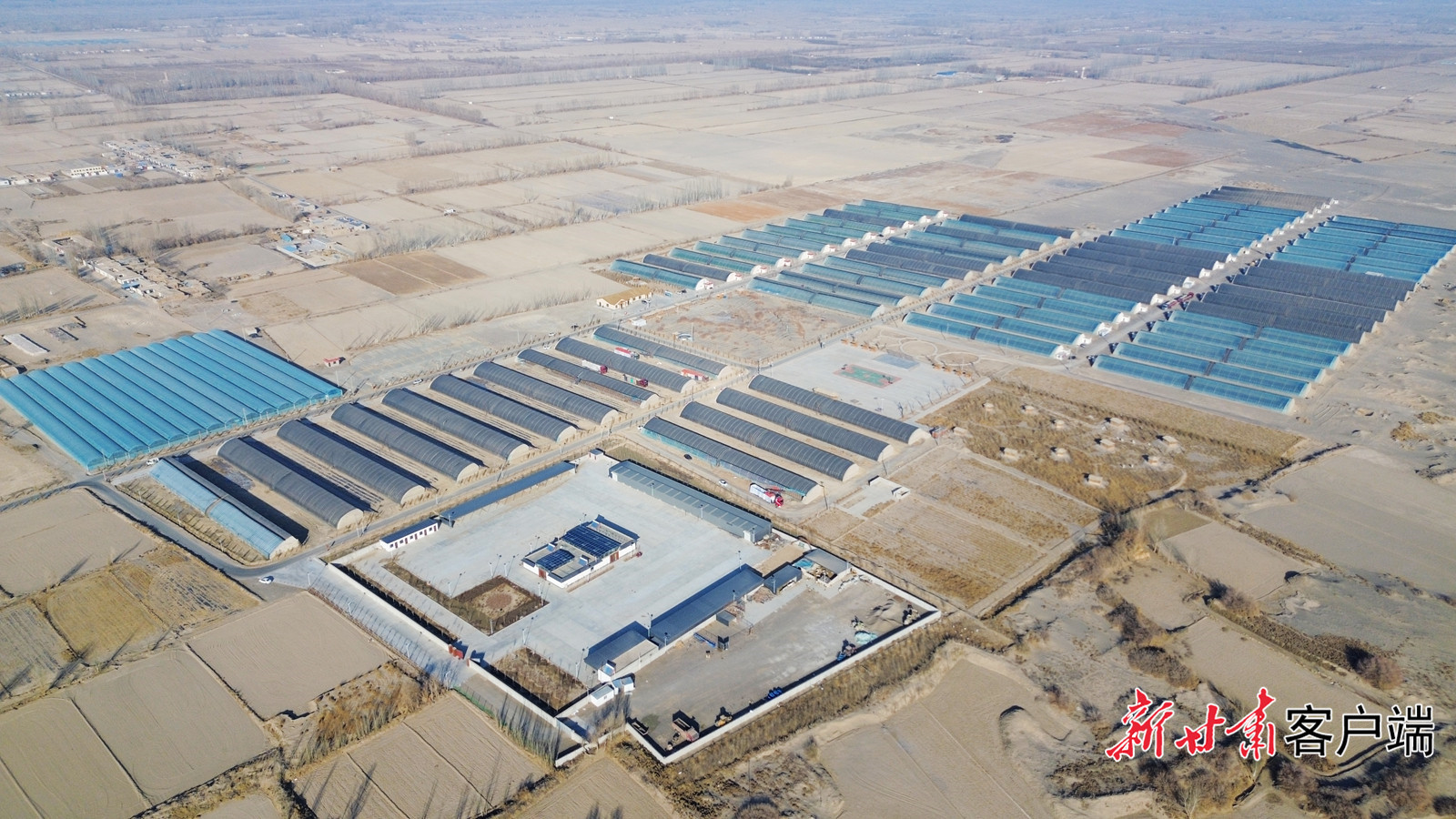 金塔镇营泉沙漠生态农业园及农旅融合示范点 新甘肃·每日甘肃网记者 龙毅 摄