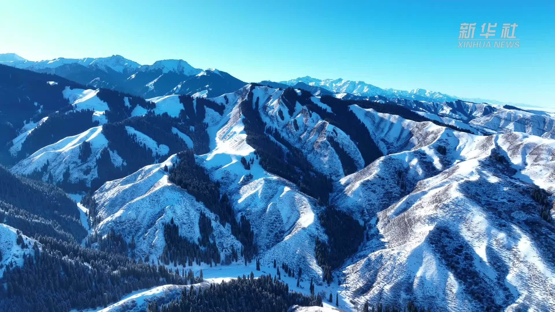 新疆玛纳斯：雪域林海 壮美非凡