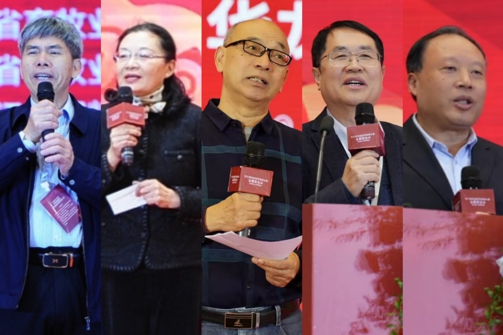 赋能！2025中华龙猪节暨中国猪业品牌发展大会举行专业演讲