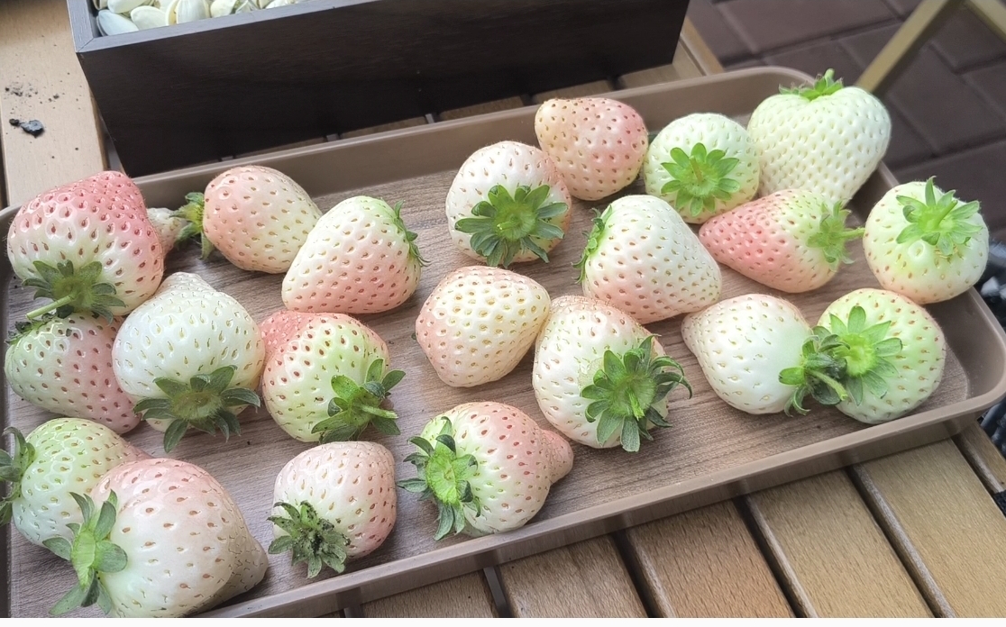 鲜美可口的奶油草莓