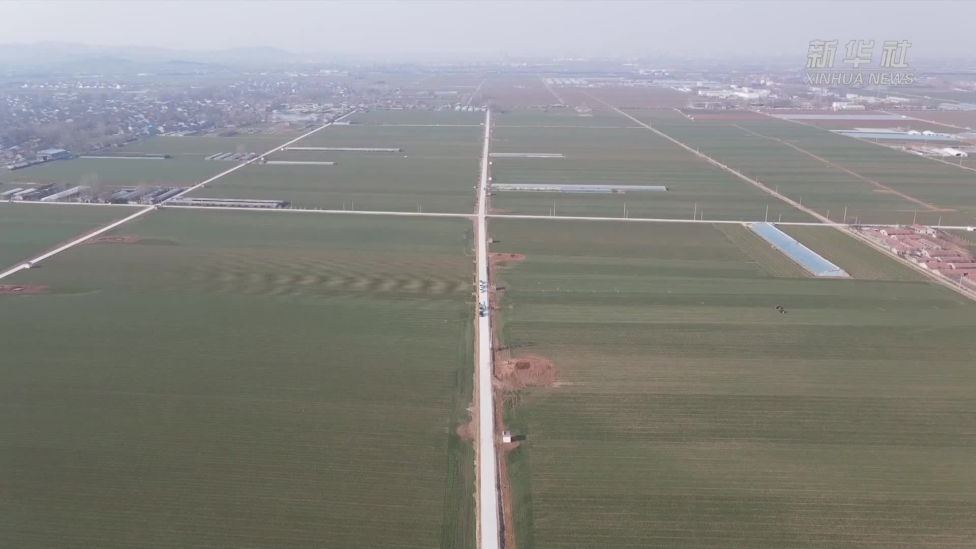 山东淄博：土地托管助力农民增收