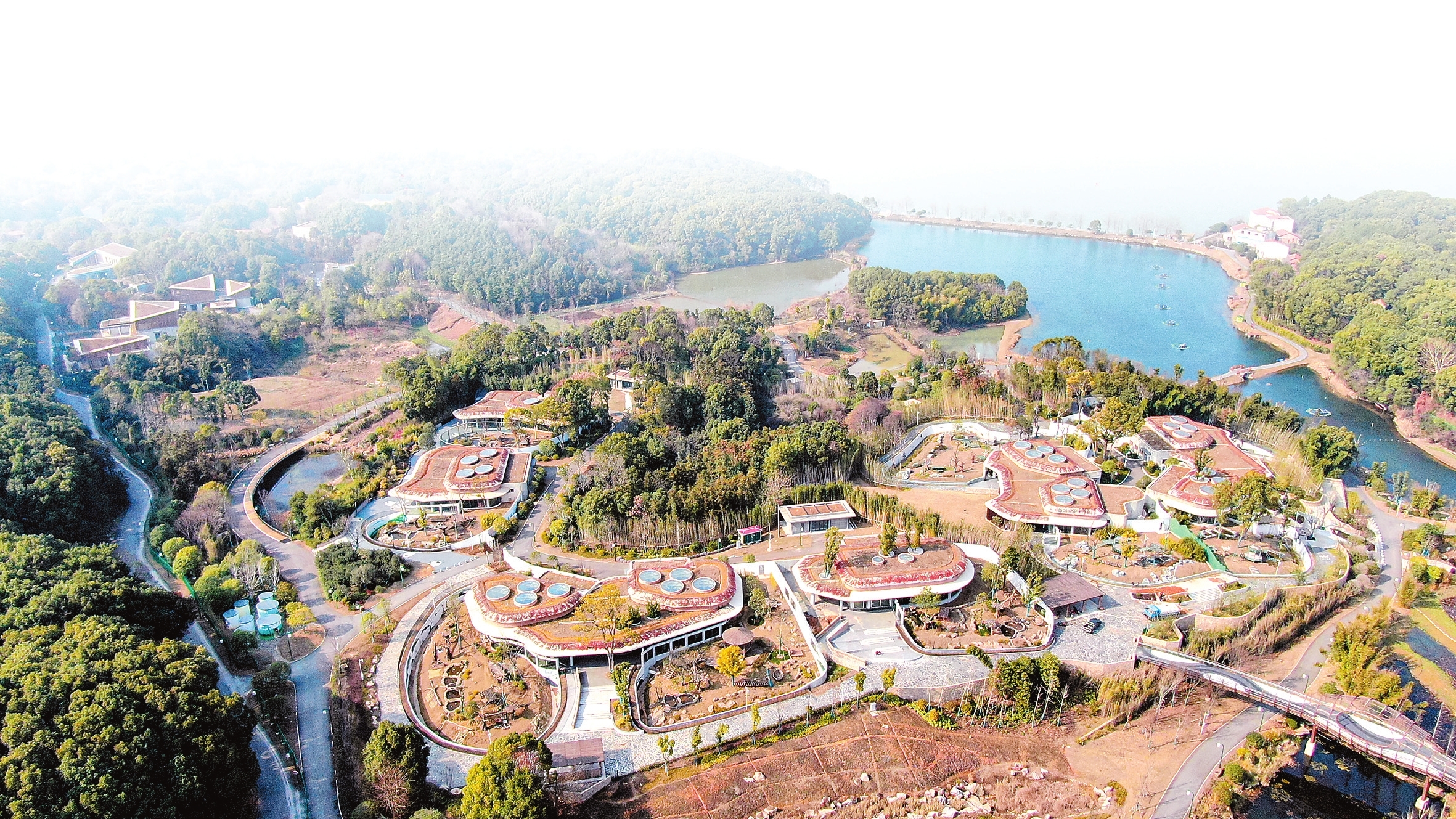 岳阳中华大熊猫苑。