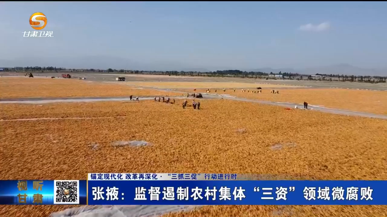 张掖亮剑“三资”领域微腐败 守好村集体“家底”