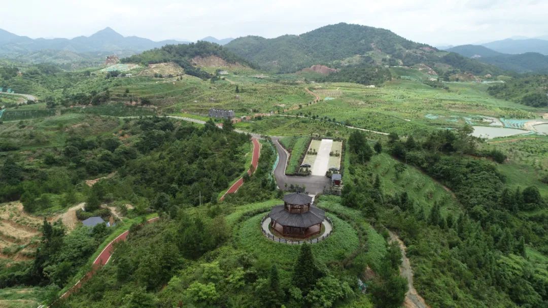 治理后的寻乌县文峰乡上甲村稀土矿山公园。曾伟朗/摄