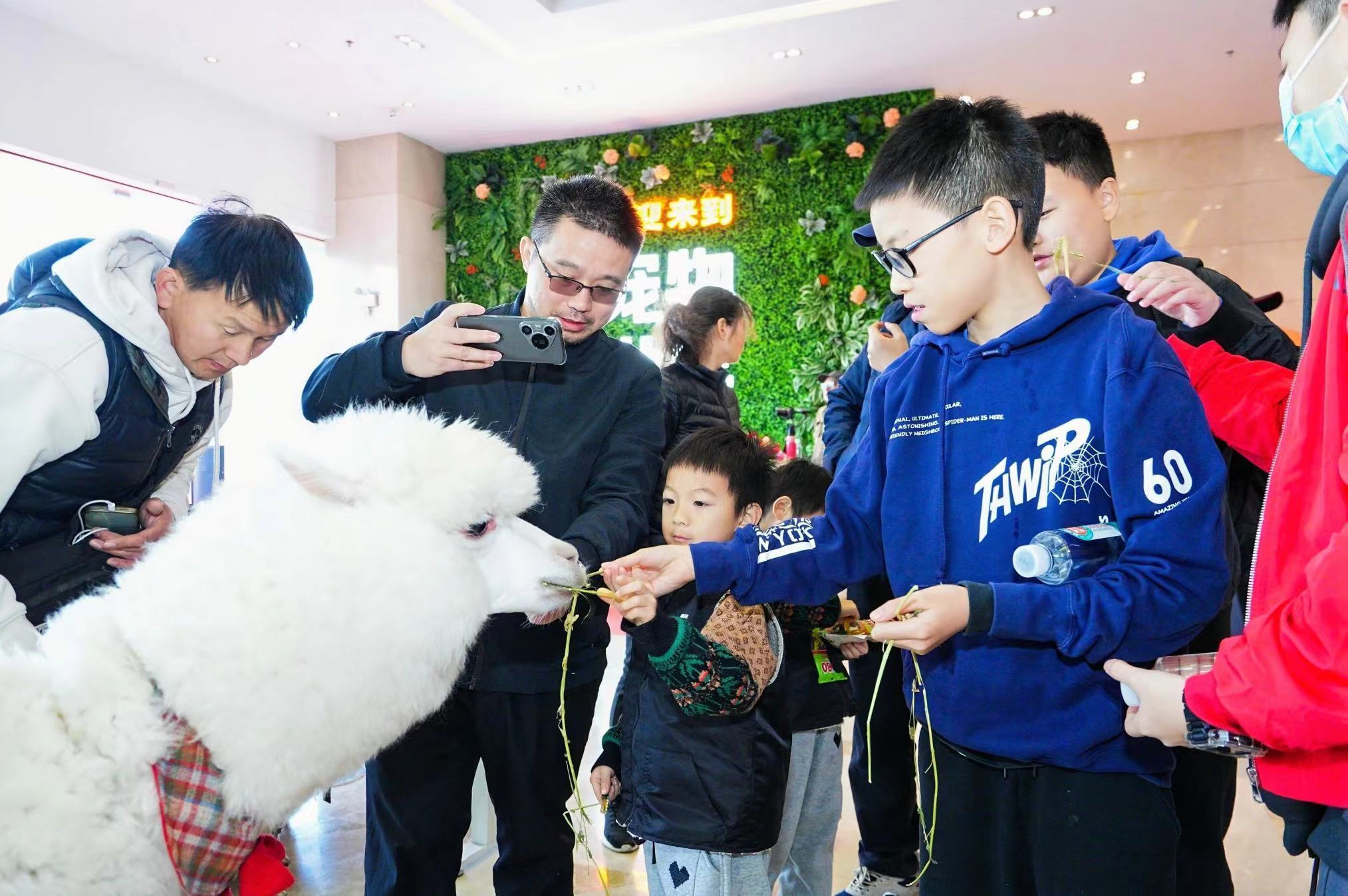 深圳宠物世界一站 GO 商城亮相首届嗨宠节