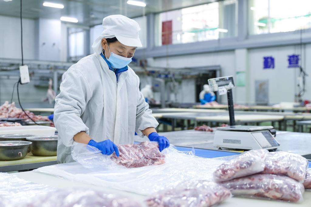 1月8日,在环县中盛羊业加工车间,工作人员打包羊肉。新华社记者 郎兵兵 摄