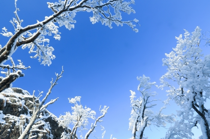 蛟河市体验-场冰雪奇观的邂逅之旅