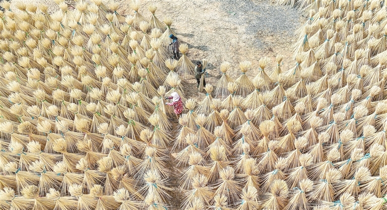 广昌县：家门口就业（图）
