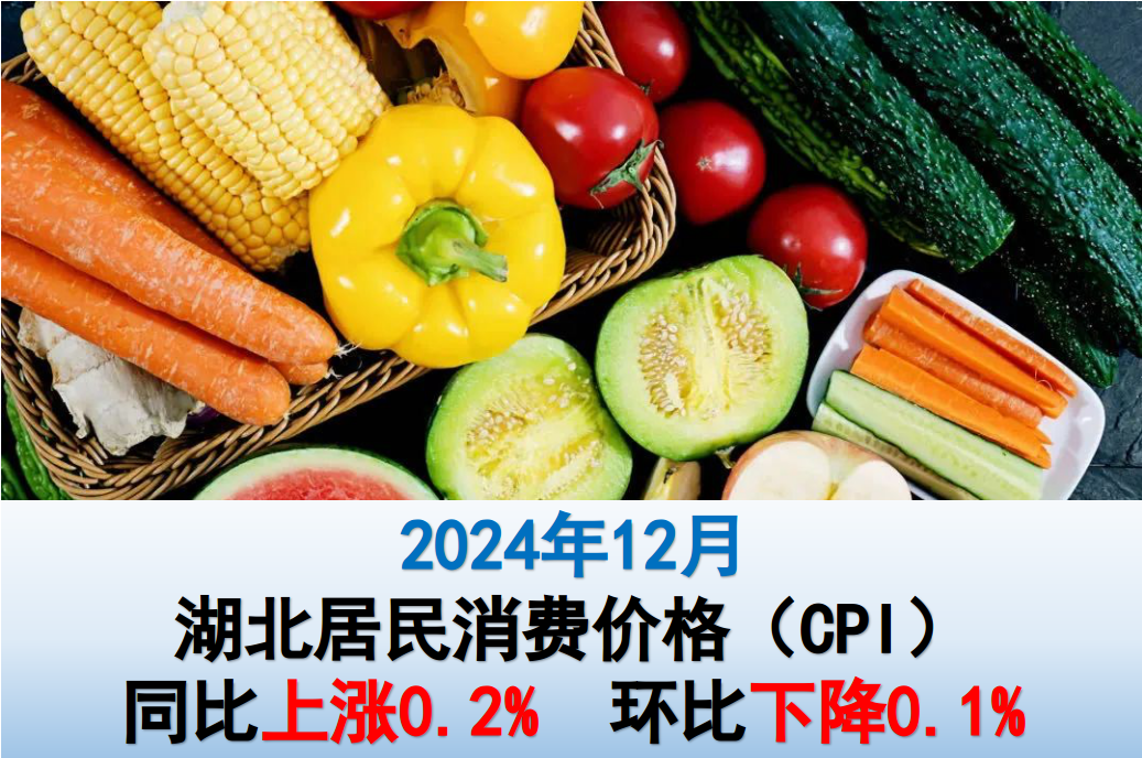 12月份湖北CPI同比上涨0.2% PPI同比下降2.8%