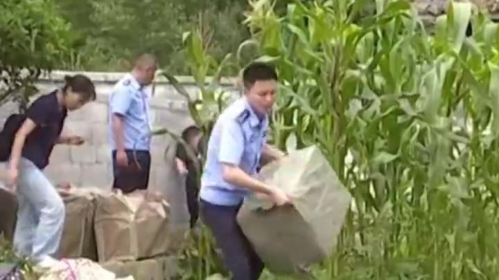 县委原书记将非法收受的茅台和财物埋在老家地里，再种上玉米掩盖