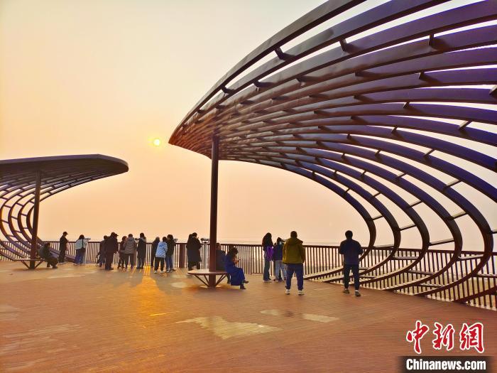 图为江西永修县狮子山观鸟点，游客正在观赏候鸟。宋建明 摄