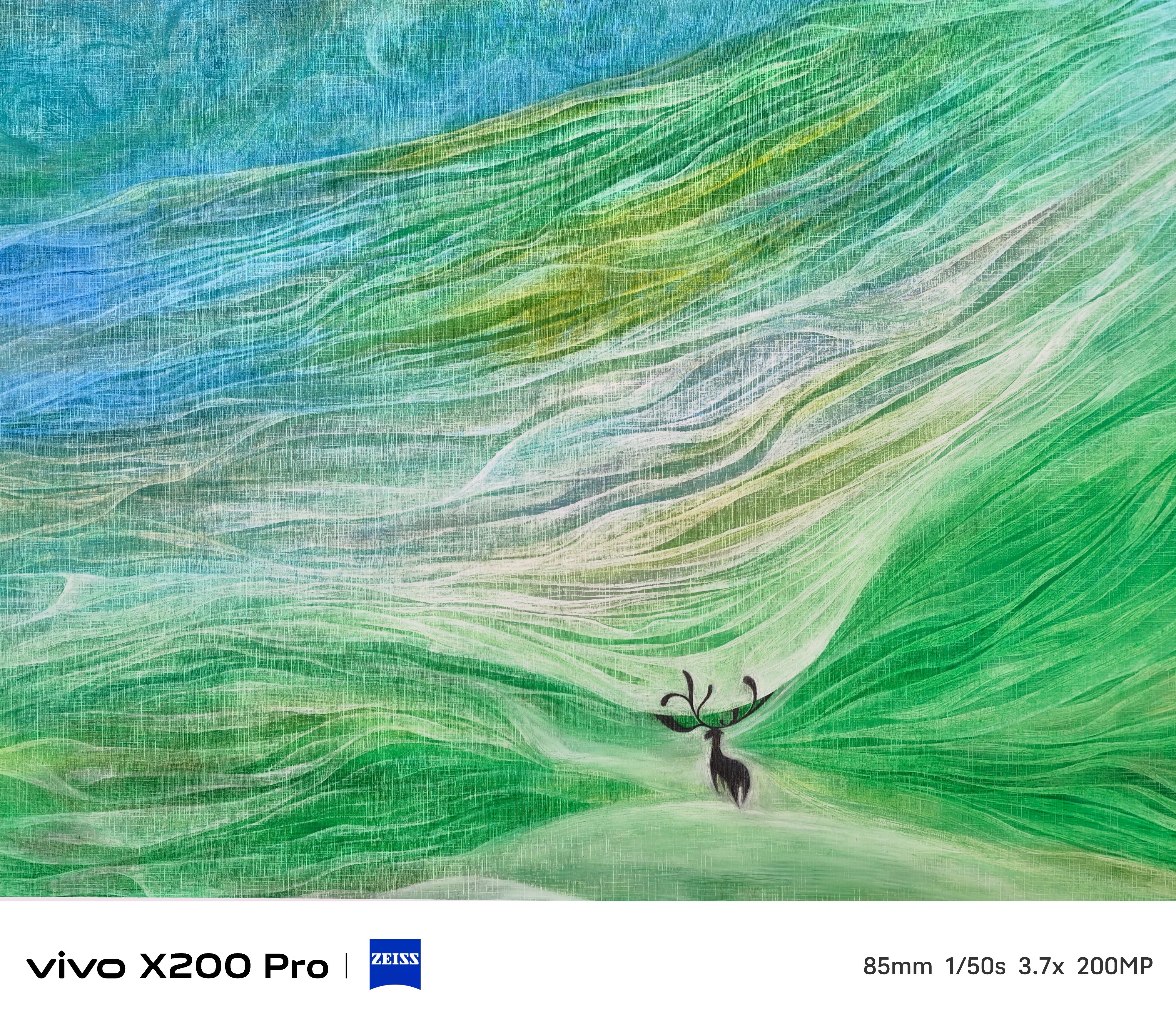 “山海连城 绿境深圳”vivo光影之旅公益摄影大赛正式启动