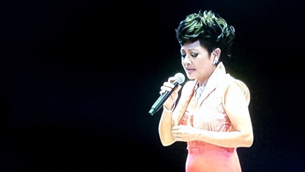 2段婚姻4次试管， 一家6口2个癌症1个瘫痪，她的风光背后全是心酸封面图