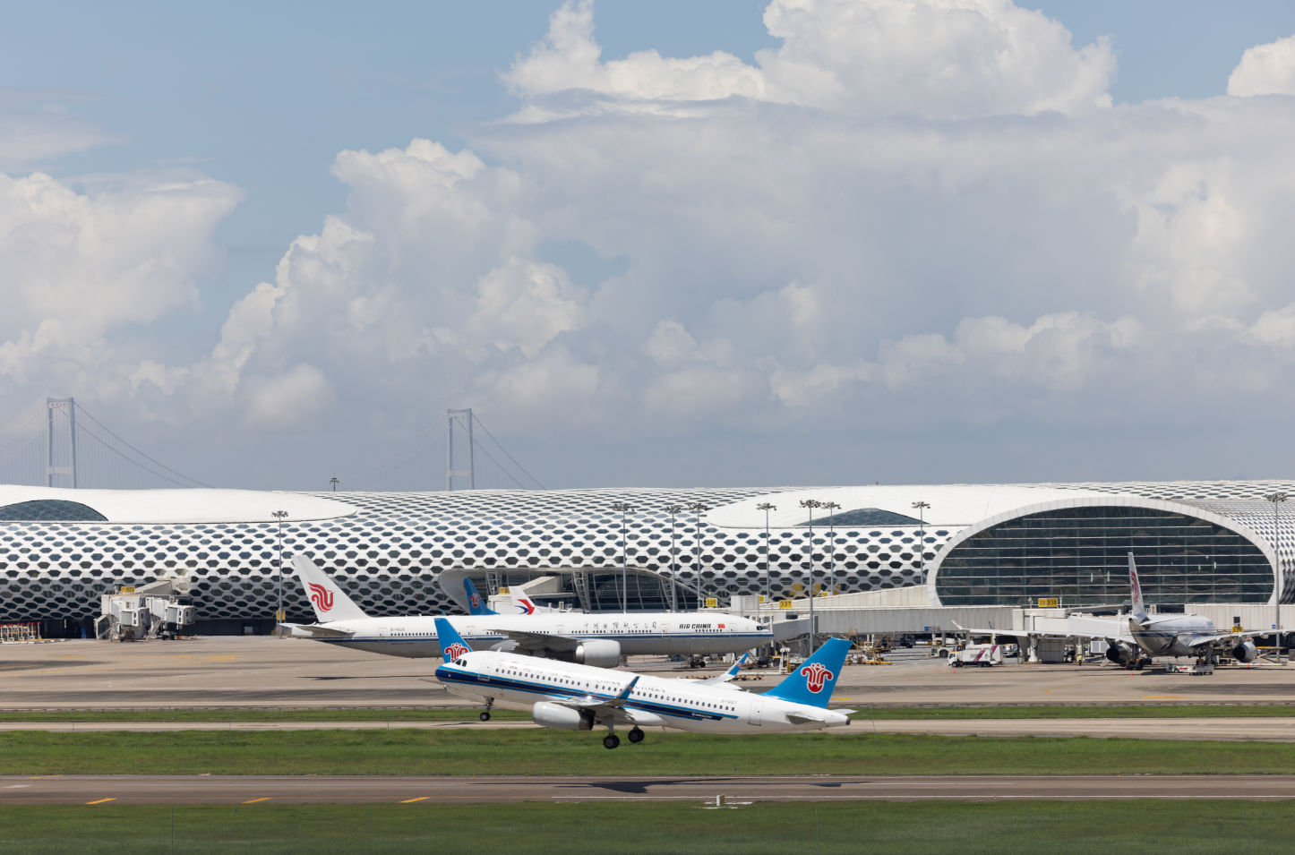 超6147万人次!深圳机场年旅客吞吐量创历史新高