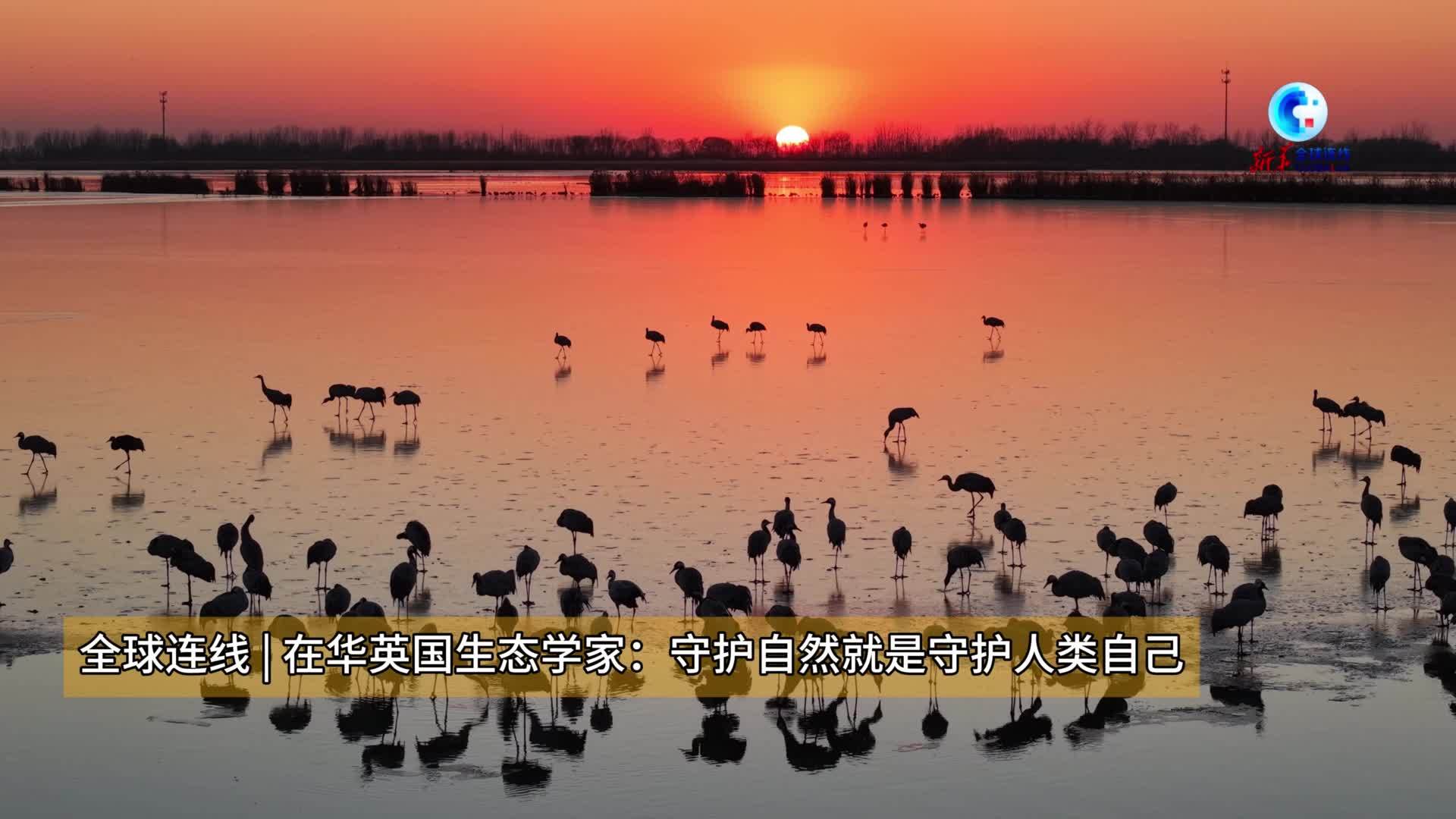 全球连线｜在华英国生态学家：守护自然就是守护人类自己