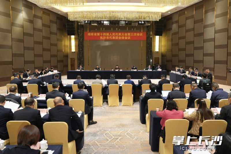1月17日下午，省十四届人大三次会议长沙市代表团举行第八次全体会议。 长沙晚报全媒体记者 郭雨滴 摄