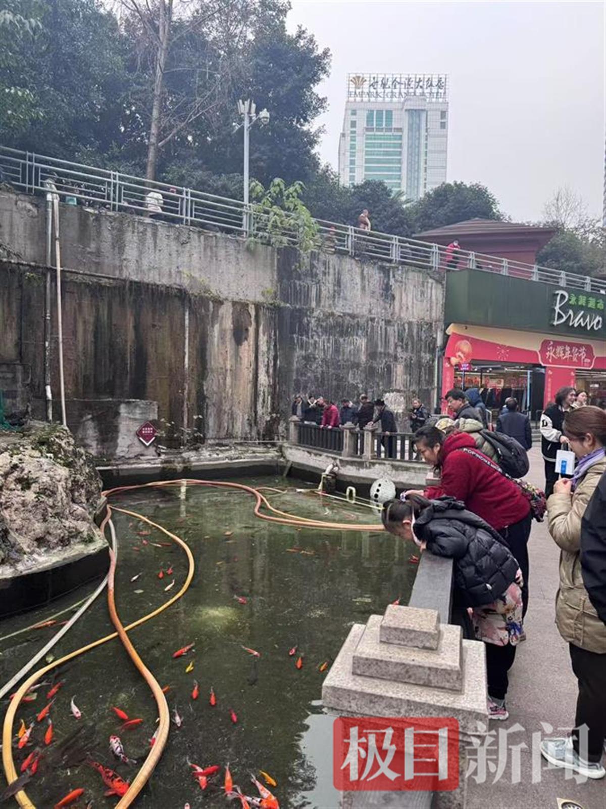 群众正在观看鱼池内剩下的鱼