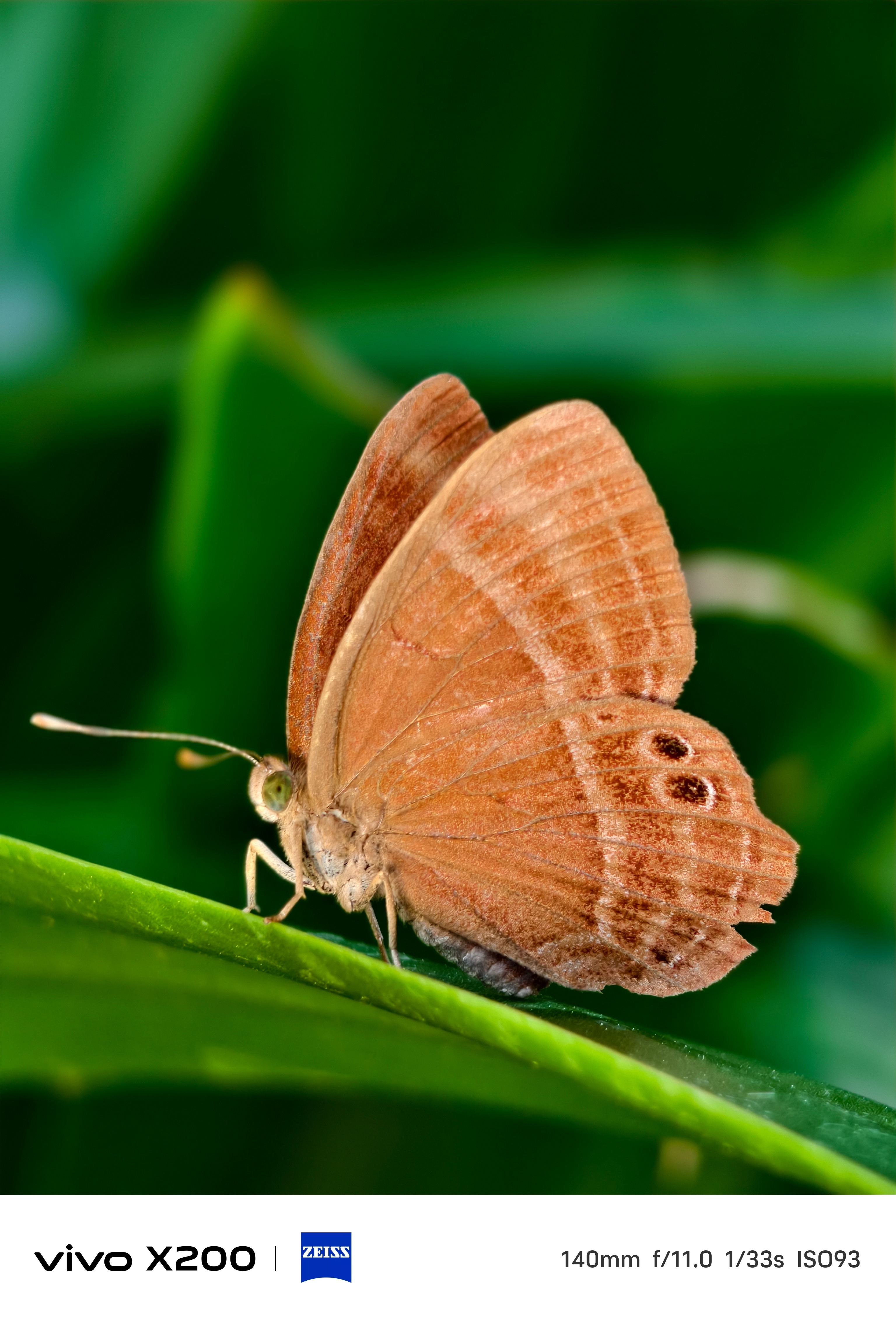 “山海连城 绿境深圳”vivo光影之旅公益摄影大赛正式启动