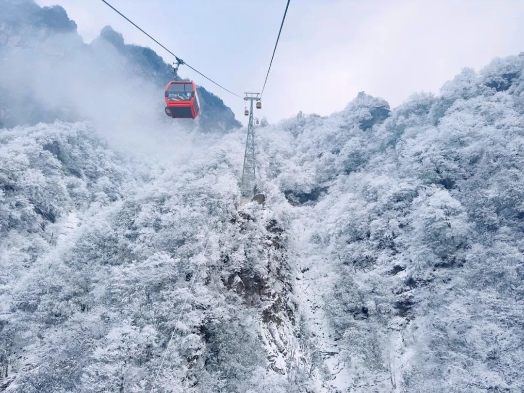 （图源：汉中市旅游）