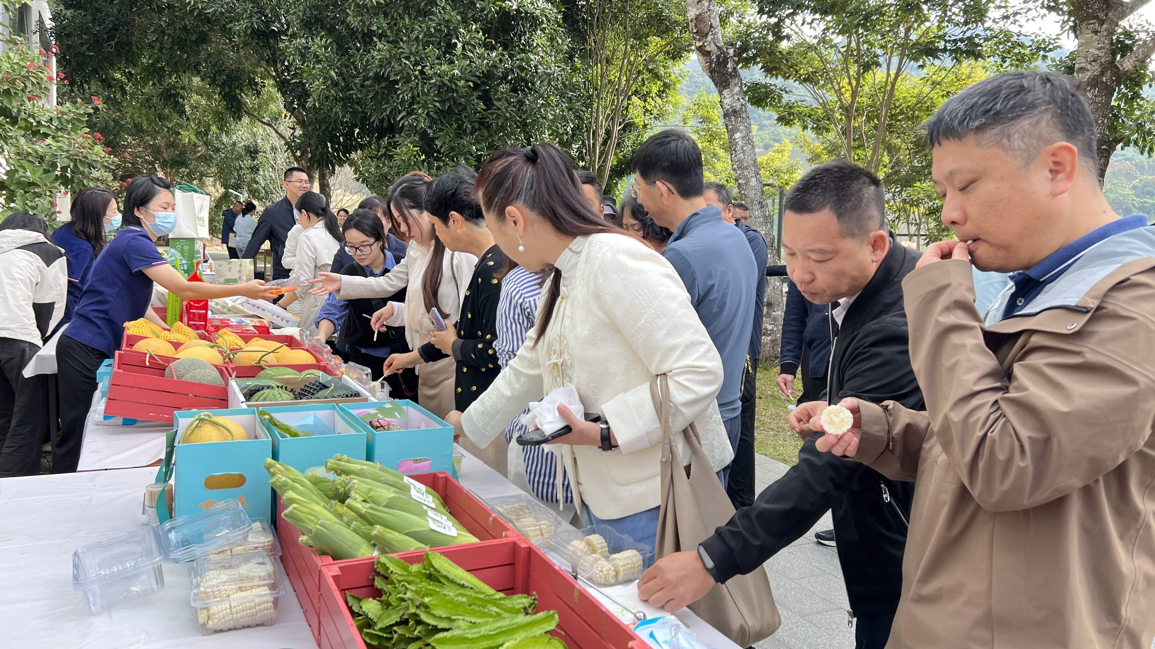 凤观乡村振兴 | 三亚吉阳区聚专家之力共促南繁科研成果转化