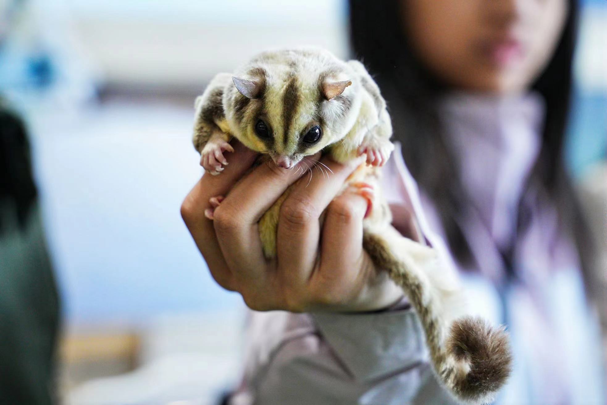 深圳宠物世界一站 GO 商城亮相首届嗨宠节