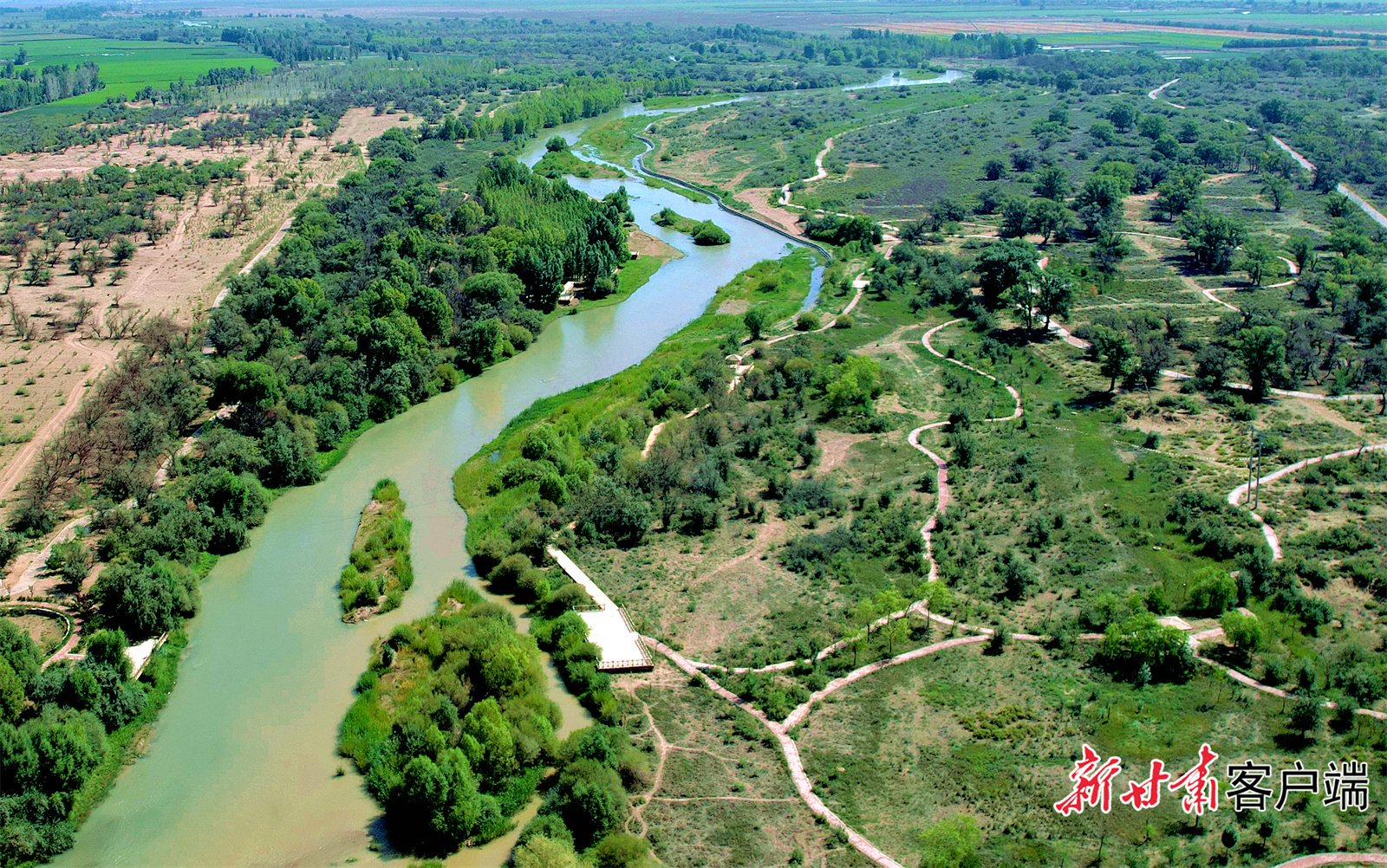 石羊河下游民勤蔡旗断面　新甘肃&middot;甘肃日报记者　金奉乾　摄