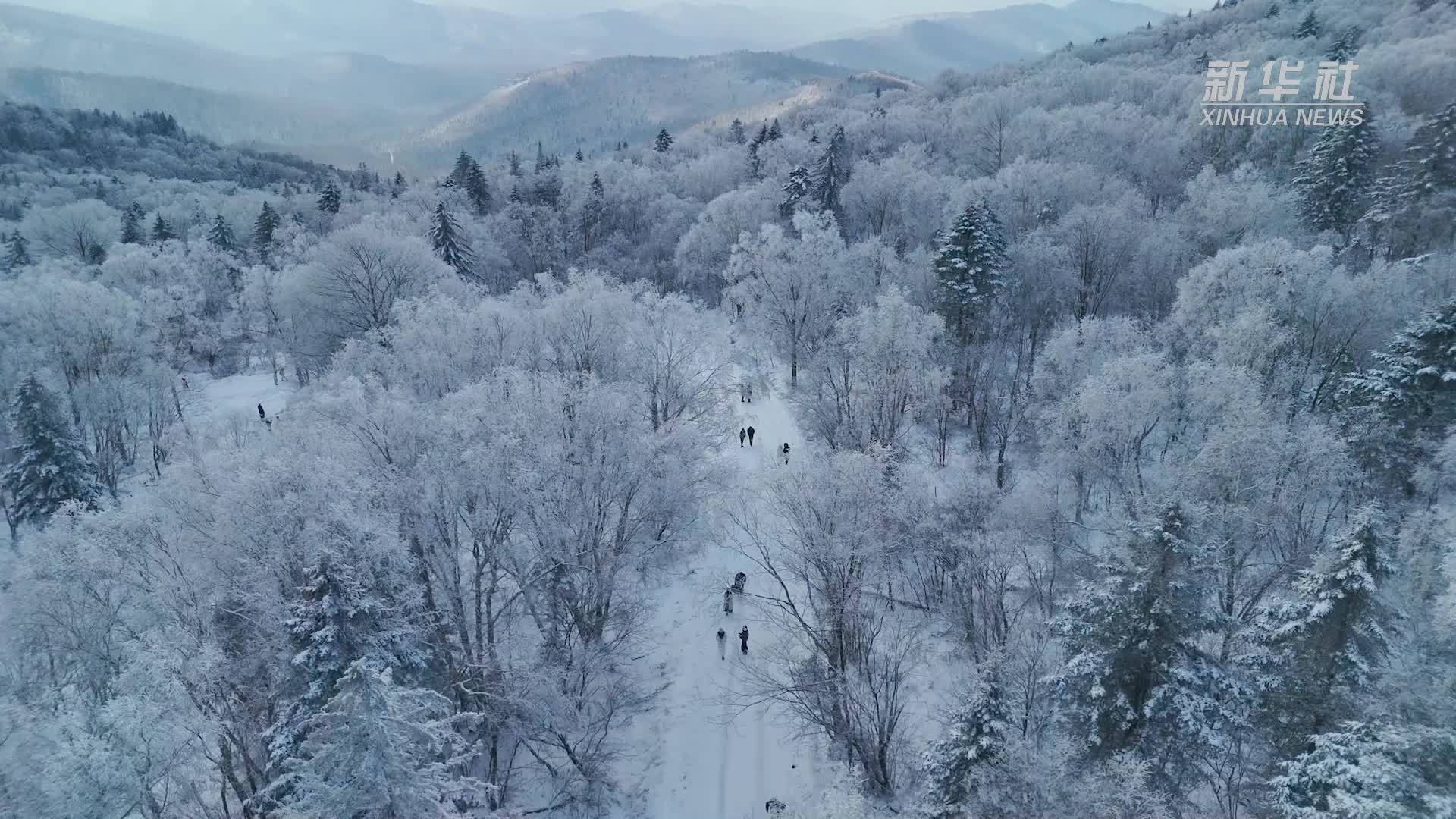 冰雪经济一线观察｜吉林安图：让“冷”冰雪拉动“热”经济