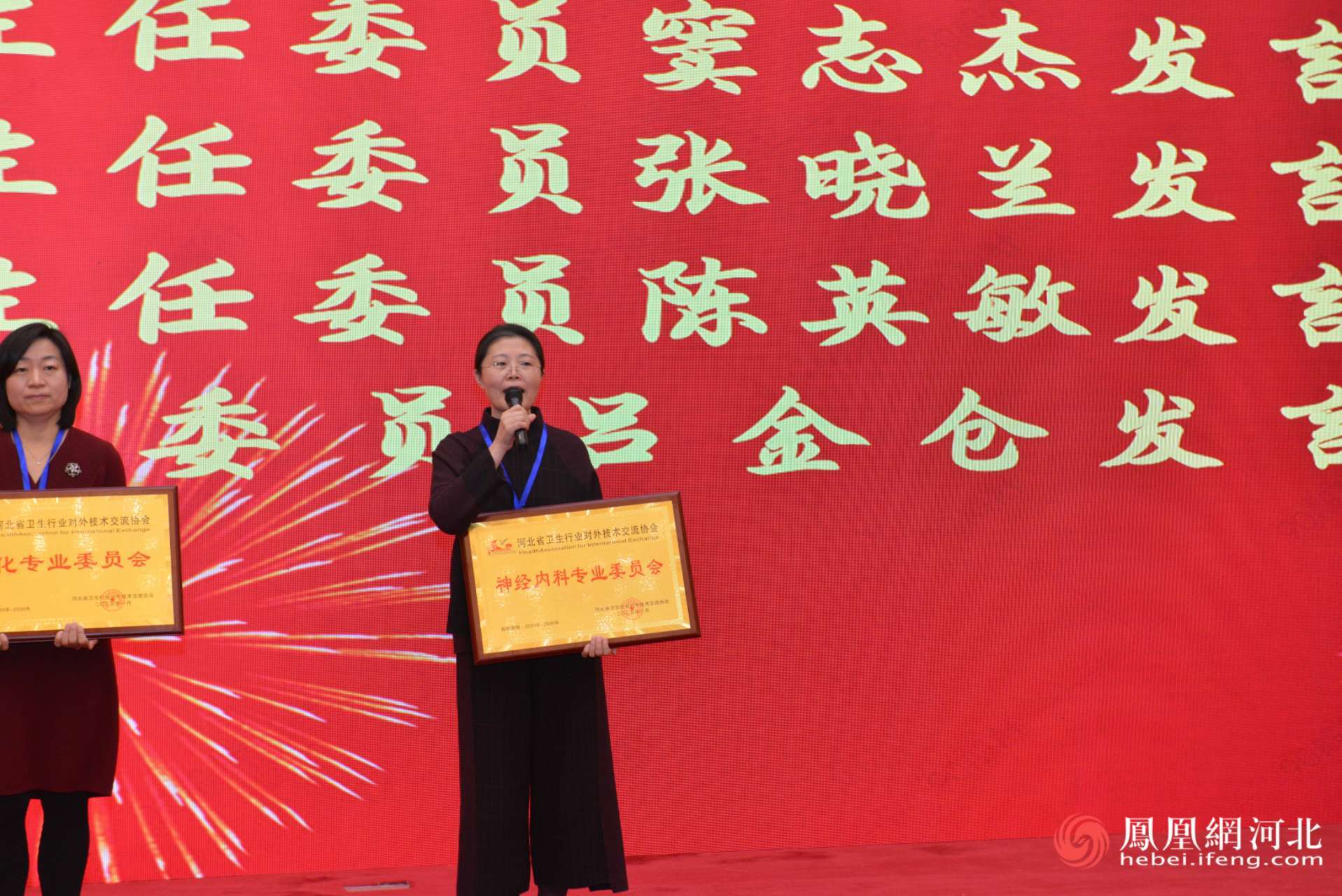神经内科专业委员会主任委员窦志杰发言