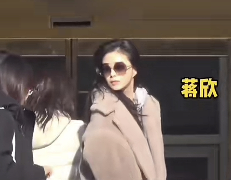 蒋欣
