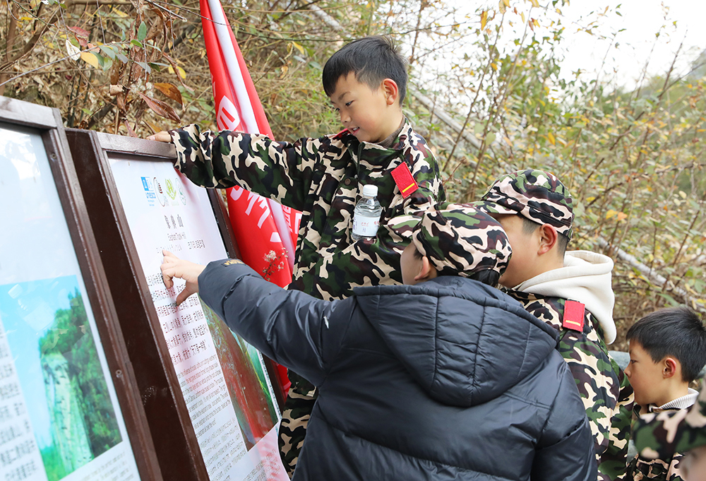 研學冬令營“趣”游龍虎山 點燃冬季游熱度