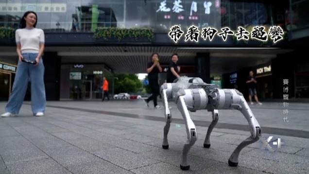 赛博宠物时代