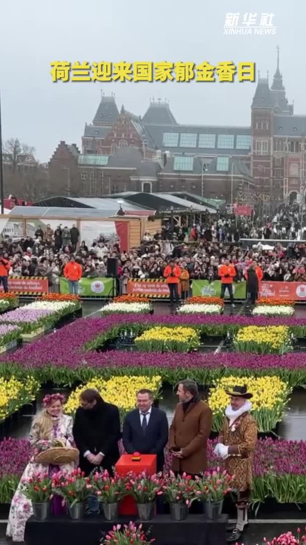 荷兰迎来国家郁金香日