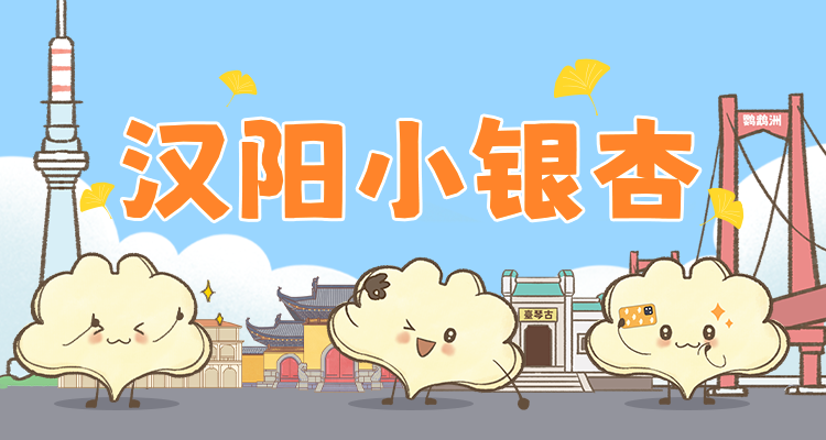 首发！顶流表情包带你玩转2025汉阳年