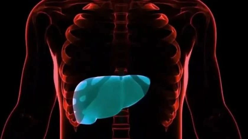 肝透析离应用近了一步