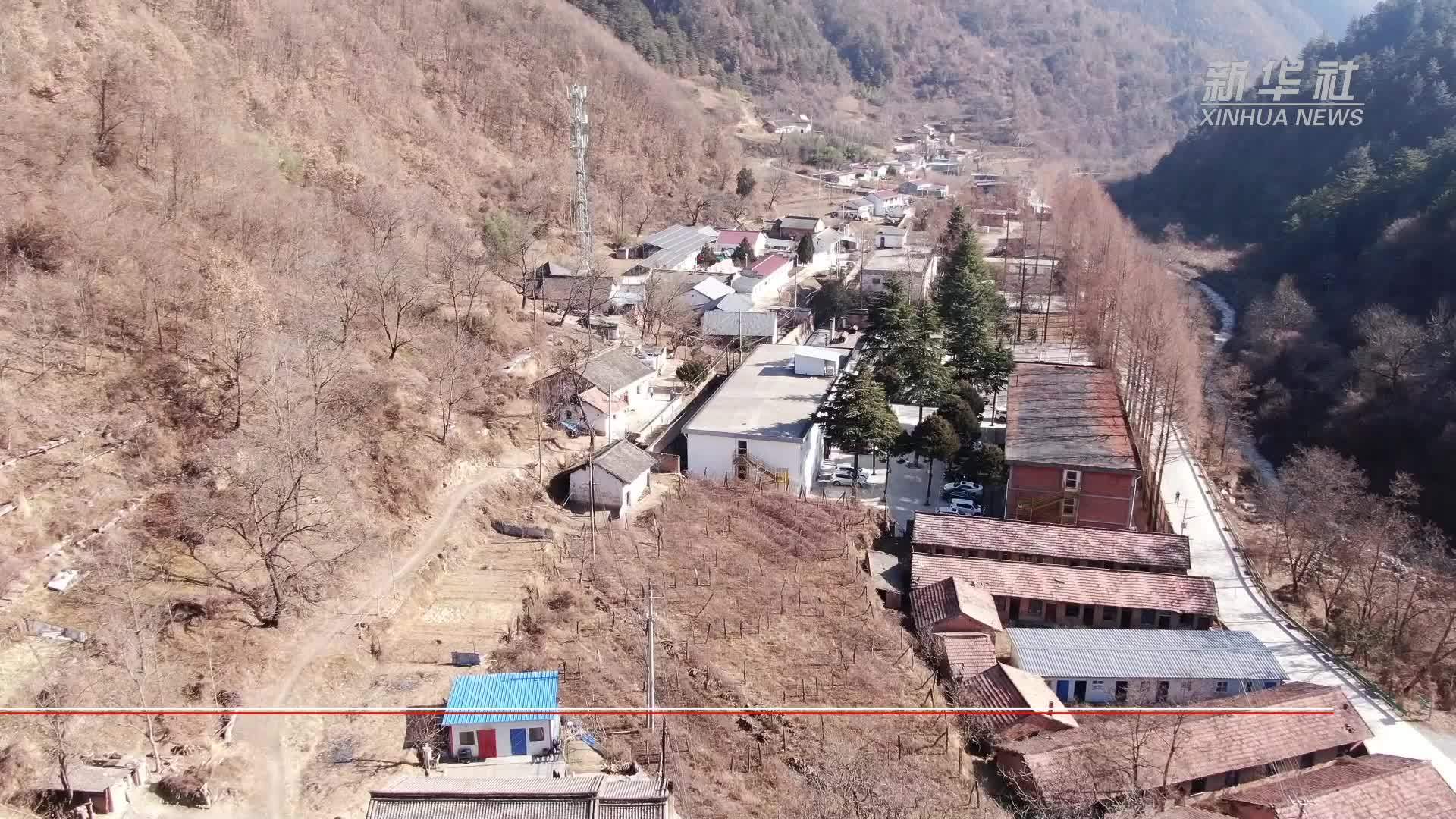 新春走基层｜让青春在乡村振兴一线绽放