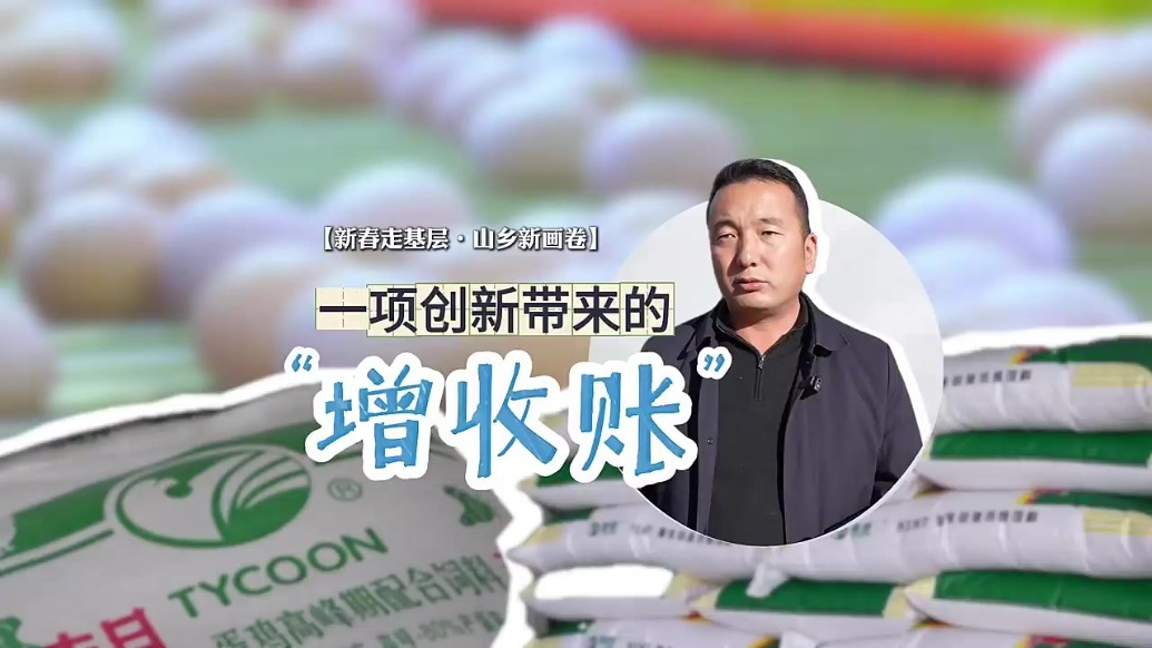 甘肃牛羊鸡吃上中草药　秸秆变废为宝“钱”景无限