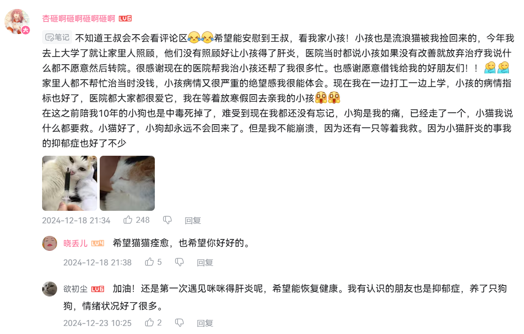 在哔哩哔哩平台《卡车猫王》单集的评论区,网友给王叔留言